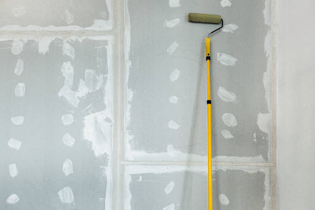 Best Drywall Sanding and Smoothing  in Idalou, TX