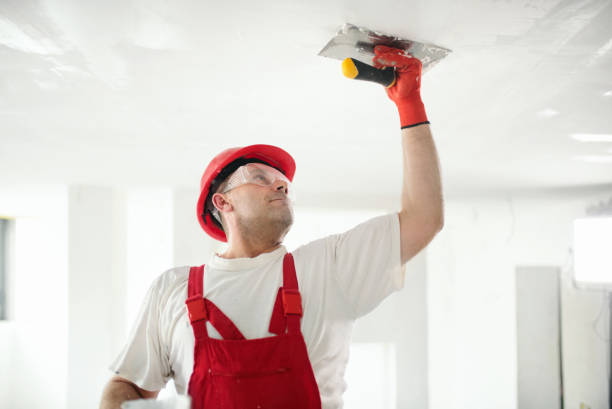 Best Ceiling Drywall Installation  in Idalou, TX